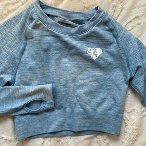 Cropped Long Sleeve Gym Top